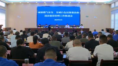 我县召开城镇燃气安全、全域白色垃圾整治和违法建设治理工作推进会
