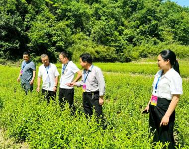 五台乡：人大代表深入产业一线 聚力支点建设助推乡村振兴