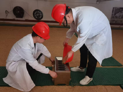 县公检中心：严把储备粮质量关 守护群众“粮袋子”