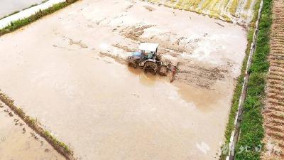 房县：老旧灌区焕发春水盈田“活力”