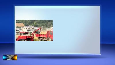 军店镇：风吹麦浪穗飘香 小麦开镰收割忙