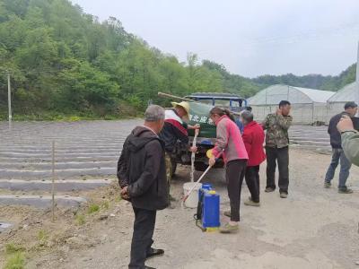 房县野人谷镇：聚力抗旱保生产  深耕沃土护民生