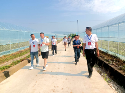 回龙乡：四个“一线”工作法，开展矛盾排查化解