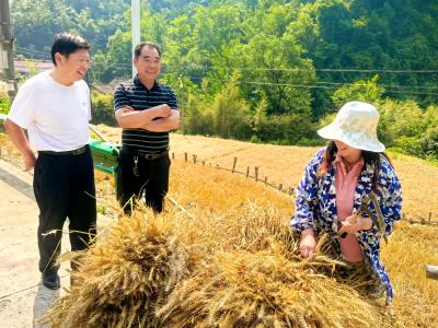 五台乡：“四轮驱动”跑出乡村振兴加速度