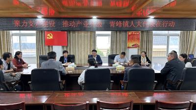 房县青峰镇：一线调研谋发展，代表献策促升级