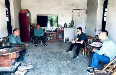 白鹤镇：“1233”行动在一线——走村入户摸实情 把脉开方促发展