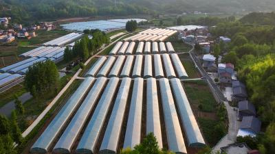 湖北房县：智慧农业赋能农民增收