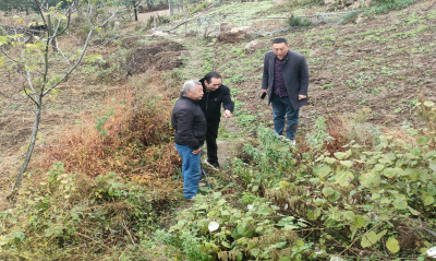 沙河乡：干群齐心寻活水 开挖地井润民心