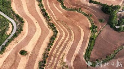 房县：“望天田”变身“饭碗田”