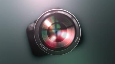 文明赏花莫伸手