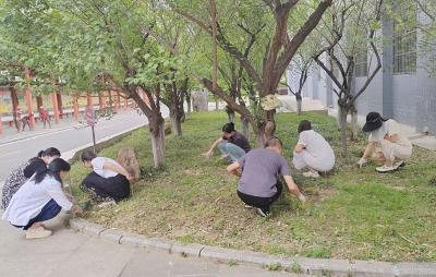 房县东城小学：除草护绿共筑美丽校园