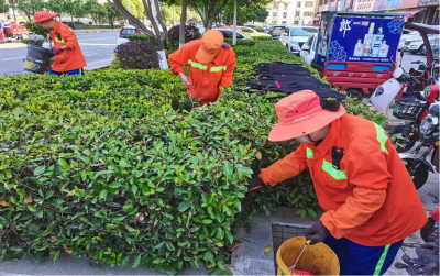 县城市管理执法局：三向发力推进白色垃圾清理整治