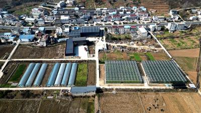 房县新增一所全国县级优质农民田间学校