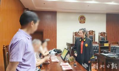 房县人民法院：柔性司法化干戈 倾情调解护“苗”长