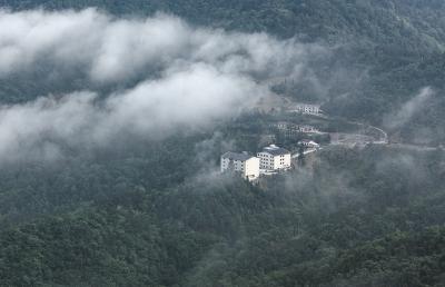 中坝乡白酒小镇破局新路：漳兰河"小而美"点亮乡村振兴新图景