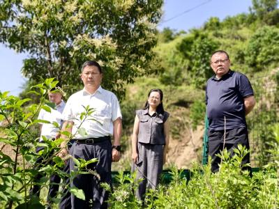 操航带队巡查泉水湾水源保护区