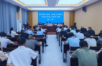 沙河乡：“四力并举”锻造干部过硬能力作风