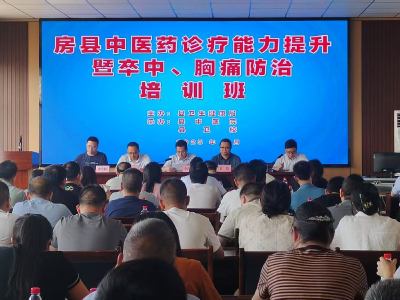 县卫健局举办中医药诊疗能力提升专题培训