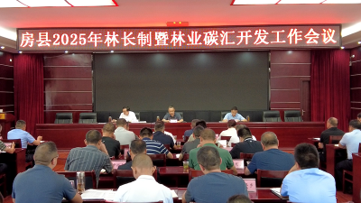 全县2025年林长制暨林业碳汇开发工作推进会召开