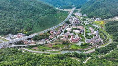 房县土城镇：林下生金 绿富双赢