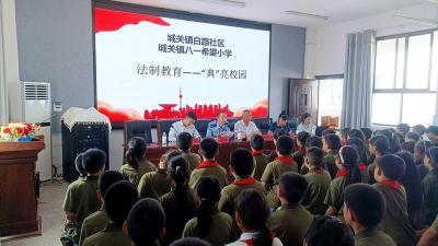 房县：“典”护童年  法伴成长