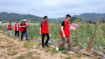  房县：田间课堂开讲 “绿色种豆经”