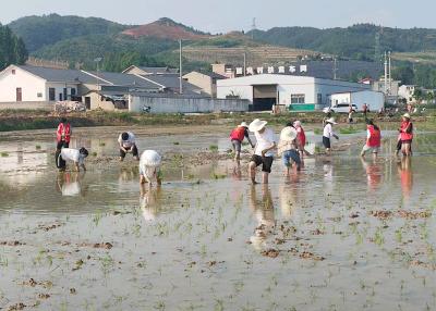 军店镇：一线练兵赋能年轻干部素质提升