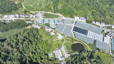 特色产业 助农增收