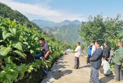 九道乡：找准“支点”撬动振兴 形成“合力”激活动能