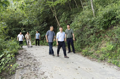 上龛乡：代表行动架桥梁 聚力支点赋新能