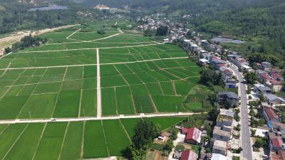 白鹤镇：科技“卫士”守护稻田智慧农业助增收