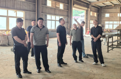 尹吉甫镇：人大代表聚力支点建设 推动艾草产业升级