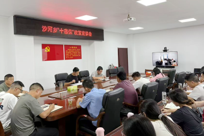 沙河乡：扎实推进“十惠保”宣传