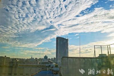 实训营园地丨终极目标不是流量，是入心