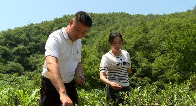 《党旗飘飘》张士超： 当好“领头雁” 奋力谋发展