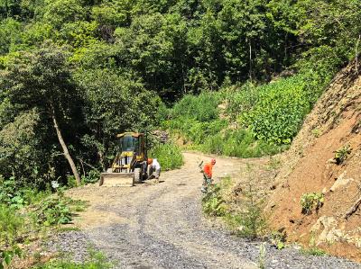 野人谷镇：12公里产业路激活林下经济新活力