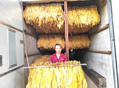 中坝乡：幸福笑容映丰收，勤劳身影绘锦程