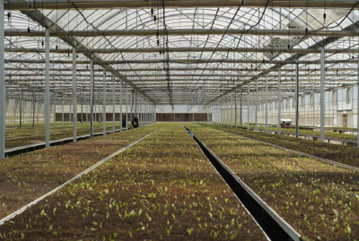 门古寺镇：小安置区联动大产业生态经济双丰收