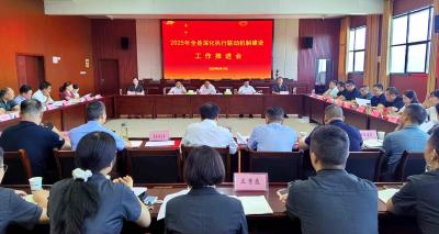 全县深化执行联动机制建设工作推进会召开