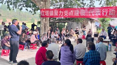 红塔镇：人大代表“三进三联” 疏通循环经济发展“民意渠”