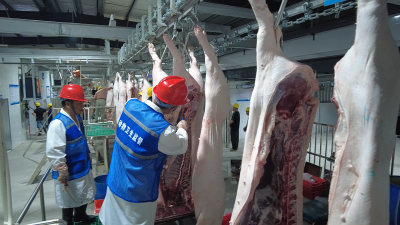 房县：推进生猪屠宰标准化 保障群众吃上"放心肉"