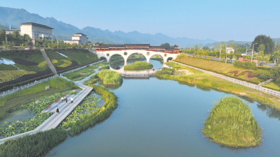 生态湿地 水清岸绿