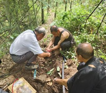 军店镇：干群同心破“渴”题，300余村民喝上“放心水”