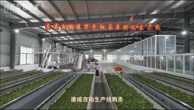 白鹤镇商会：多维赋能 谱写基层商会发展新篇章