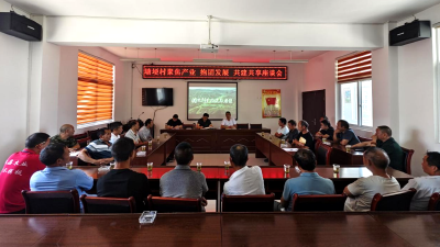 土城镇塘埂村：集思广益谋发展 乡村振兴出实招