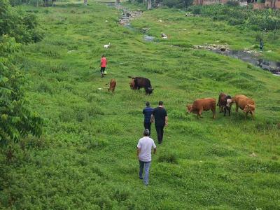 大木厂镇：党建引领聚合力 守水护水强村党委