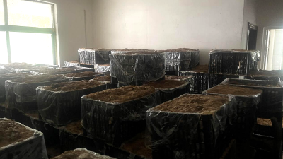 上龛乡：唤醒沉睡资本  “三招”奏响乡村振兴强音