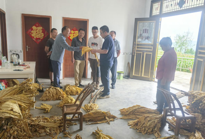 沙河乡：党建引领强根基 干部担当促烟兴