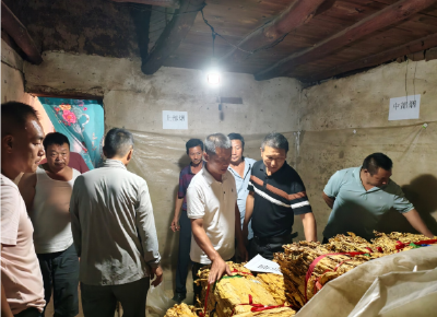 青峰镇：“统一标准 + 下沉服务” 青峰烟站分级预检会铺就烟农增收路