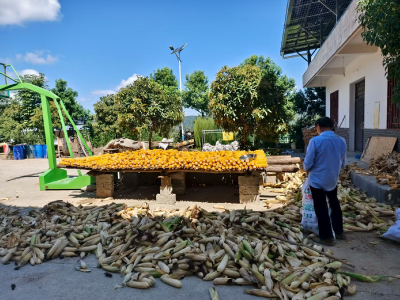 青峰镇：银发“耕耘者”的余热担当